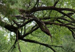 16-Microcontrast-2 16-Microcontrast-2