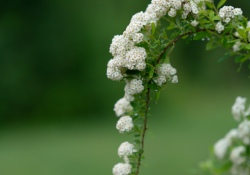 24-Bokeh-Samples-3 24-Bokeh-Samples-3