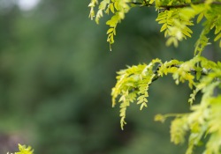 24-Bokeh-Samples-4 24-Bokeh-Samples-4