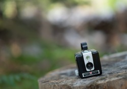 24-Bokeh-Samples-8 24-Bokeh-Samples-8