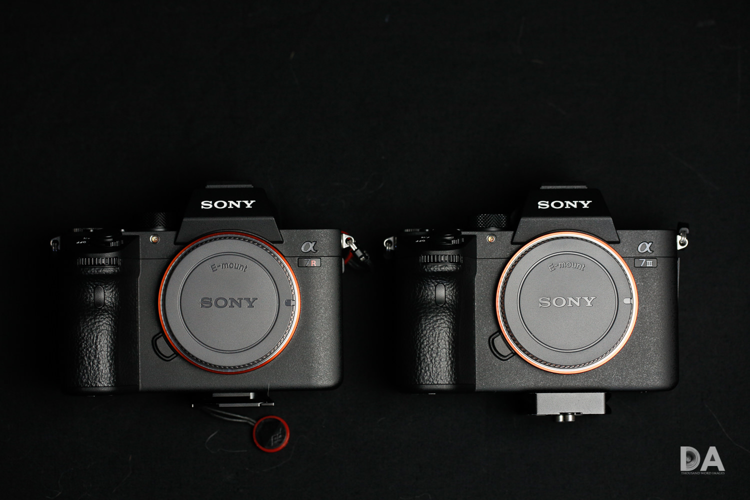 Sony a73 Product-14