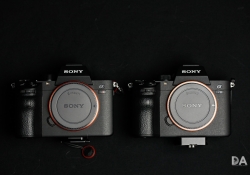Sony a73 Product-14 Sony a73 Product-14