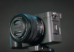 16-Compact