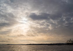36-Dynamic