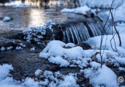 Sony-a7IV-Samples-11