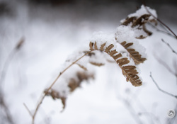 Sony-a7IV-Samples-28