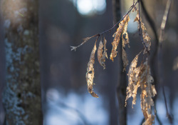 Sony-a7IV-Samples-32
