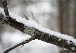 Sony-a7IV-Samples-8