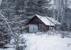 Sony-a7IV-Samples-9