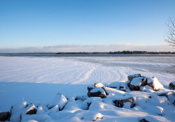 02-Landscape