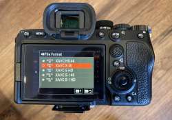 22-Vid-Options-3