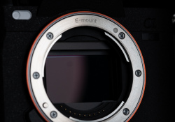 24-Sensor