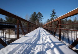 38-Winter