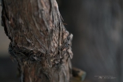 More sony Samples-6