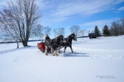 Doing Winter Right (Chateau Montebello)