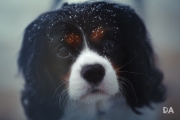 Baby, It's Cold Outside!