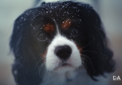 Baby, It's Cold Outside!