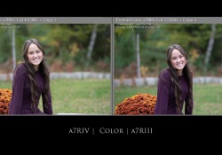 30-Color-1 30-Color-1