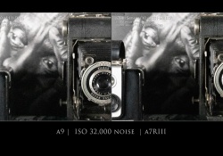 25-vs-a7RIII-2 25-vs-a7RIII-2