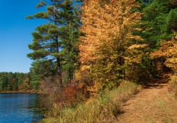 31-Landscape-2