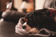 Sony-a9-Samples-15