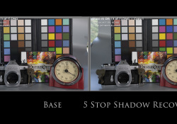 41-5-Stop-Shadow 41-5-Stop-Shadow