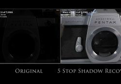 42-Recovery-Comparison 42-Recovery-Comparison