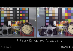 43-vs-Canon 43-vs-Canon