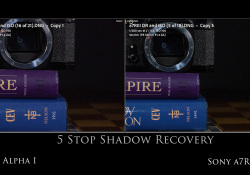 44-vs-Sony 44-vs-Sony