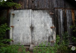 Sony-11mm-Samples-52