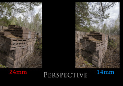 02-Perspective