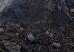 37-Landscape-2