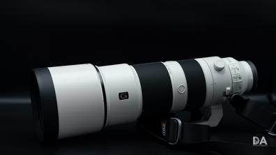 Sony 200–600mm Lens: User Guide for Wildlife Photographers