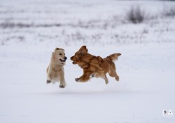 15-Tracking-3