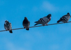 31-600mm-Real-World-10