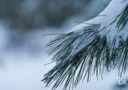 33-Bokeh-3