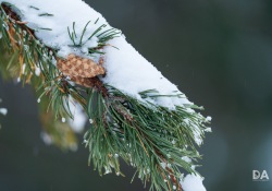 33-Bokeh-5