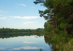33-Landscapes-4