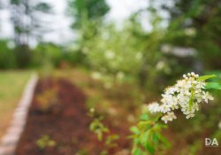 35-Bokeh-2