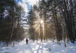 Snowbeams