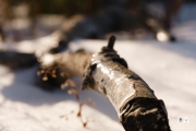 Fog and Snow-8