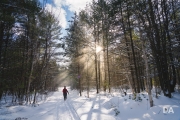 Snowbeams