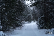 Snowshoeing Shots-12