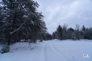 Snowshoeing Shots-13