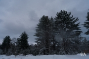 Snowshoeing Shots-3