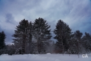 Snowshoeing Shots-4