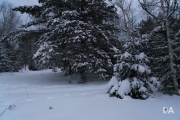 Snowshoeing Shots-7