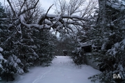 Snowshoeing Shots-8