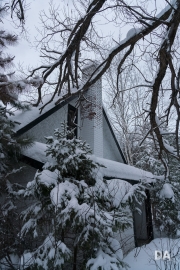 Snowshoeing Shots-9