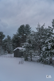 Snowshoeing Shots